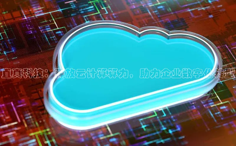 杏悦登陆路线雷柏科技直真科技：释放云计算算力，助力企业数字化转型