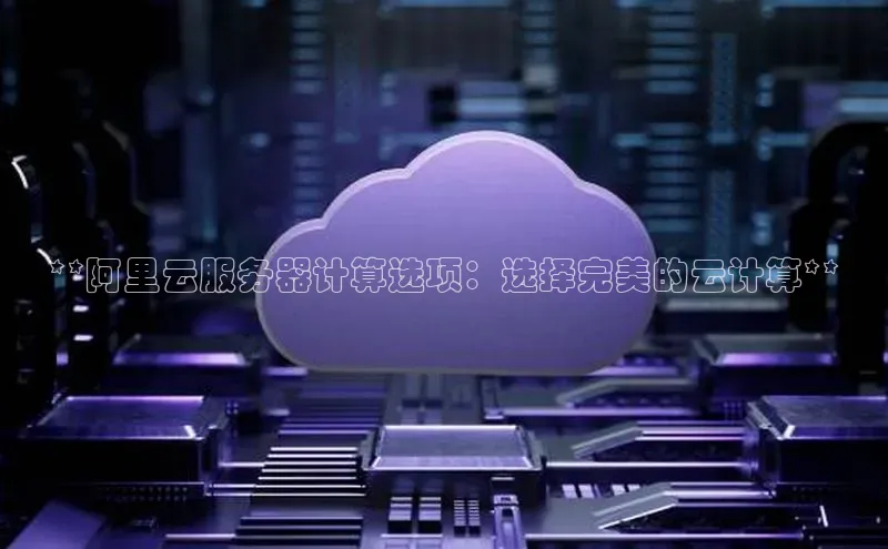 杏悦app官方网站入口下载安装慧博云通**阿里云服务器计算选项：选择完美的云计算**