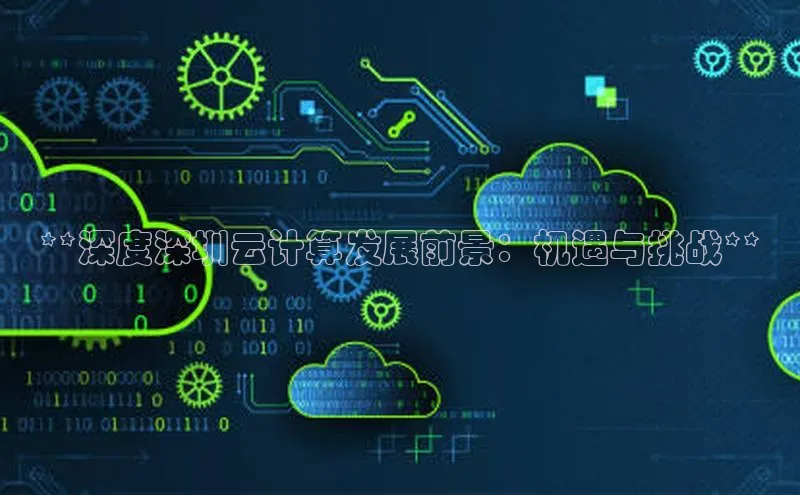 杏悦vip登录入口百度取证**深度深圳云计算发展前景：机遇与挑战**