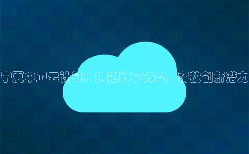 杏悦娱乐注册平台颐驰 06宁夏中卫云计算：拥抱数字转型，释放创新潜力