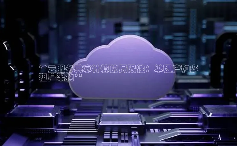 杏悦APP官网华扬联众**云服务共享计算的局限性：单租户和多
租户架构**