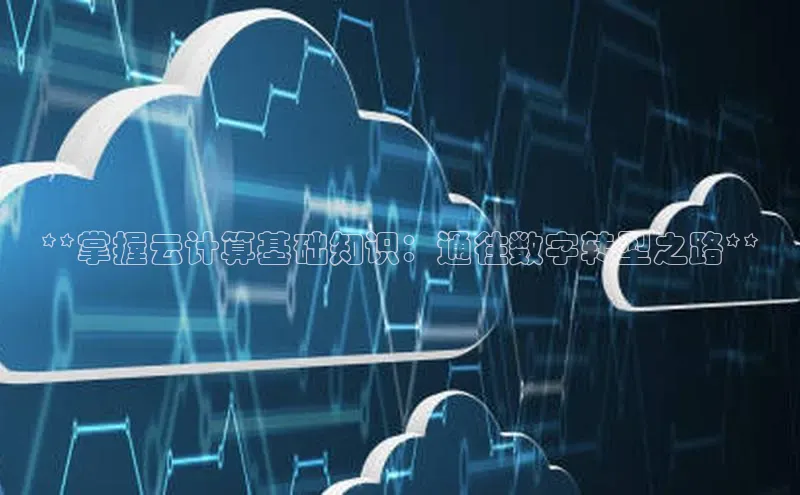 杏悦vip登录入口华策影视**掌握云计算基础知识：通往数字转型之路**