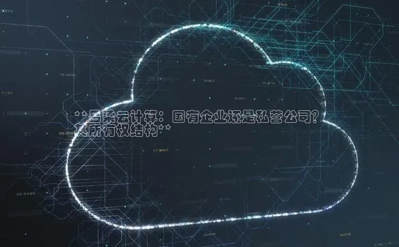 杏悦登录注册58同城**吕梁云计算：国有企业还是私营公司？
其所有权结构**