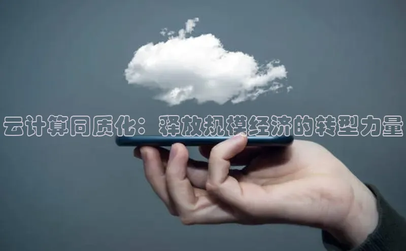 杏悦招商b176五827夏百度人工翻译云计算同质化：释放规模经济的转型力量