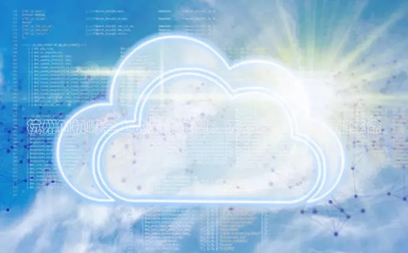 杭州AI机峰会上的未来展望：迈向2025年的智能革命